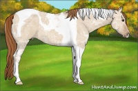 Horse Color:Red Dun Ice Tobiano 