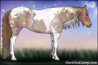 Horse Color:Nacre Chestnut Tobiano 