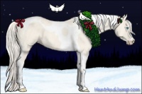 Horse Color:Cremello Dun Tobiano 