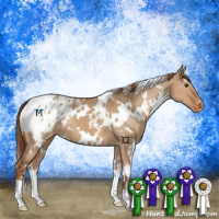 Horse Color:White Spotted Red Dun Blanket 