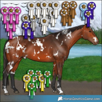 Horse Color:White Spotted Bay 