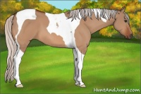 Horse Color:Silver Bay Dun Tobiano 