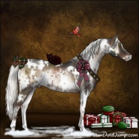 Horse Color:White Spotted Liver Red Onyx Mushroom Rabicano