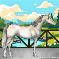 Horse Color:White Spotted Chocolate Palomino Ice Pearl Onyx Brindle