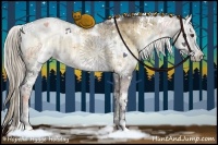 Horse Color:White Spotted Chocolate Palomino Ice Onyx Sabino Rabicano