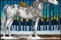 Horse Color:Nacre Plaid White Spotted Liver Red Onyx Ice Splash Rabicano
