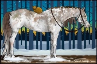 Horse Color:White Spotted Liver Red Dun Ice Sabino Splash