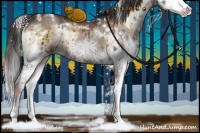 Horse Color:White Spotted Liver Red Onyx Splash