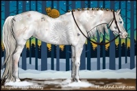 Horse Color:White Spotted Liver Red Dun Pearl Splash