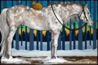 Horse Color:White Spotted Liver Red Dun Splash