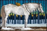 Horse Color:White Spotted Liver Red Dun Sabino Splash