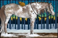 Horse Color:White Spotted Liver Chestnut Ice Sabino Splash 