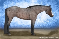 Horse Color:Brown Roan 