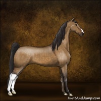 Horse Color:Buckskin Dun 