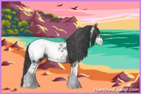 Horse Color:Grullo Sabino Appaloosa 