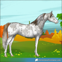 Horse Color:White Spotted Buckskin Ice Pearl Dun Sabino 