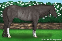 Horse Color:Smoky Black Rabicano 