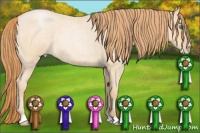 Horse Color:Smoky Blue Roan Pearl