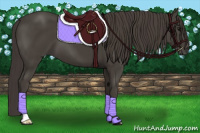 Horse Color:Smoky Black 