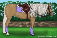 Horse Color:Silver Smoky Black 
