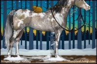Horse Color:White Spotted Brown Dun Sabino Rabicano