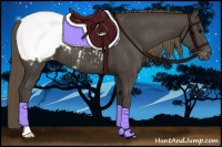 Horse Color:Smoky Black Appaloosa 