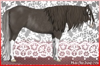Horse Color:Smoky Black Splash Rabicano