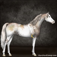 Horse Color:White Spotted Liver Red Onyx Pearl Splash 