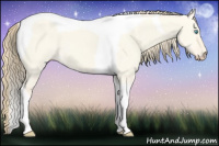 Horse Color:Perlino Dun Tobiano 