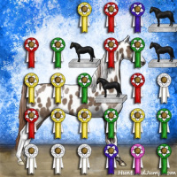 Horse Color:Liver Red Dun Leopard