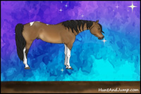 Horse Color:Gray Buckskin Dun Tobiano 