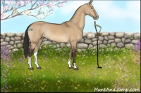 Horse Color:Buckskin Dun Sabino Rabicano