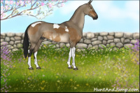 Horse Color:Gray Buckskin Dun Tobiano  and Gray Brown Dun Tobiano Rabicano 