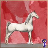 Horse Color:Chocolate Palomino Roan Pearl Dun Appaloosa Brindle 