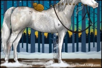 Horse Color:White Spotted Liver Red Dun Ice Pearl Splash Rabicano