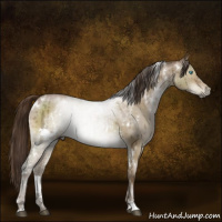 Horse Color:Gray White Spotted Buckskin Pearl Dun Mushroom Brindle 