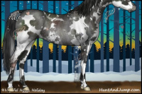 Horse Color:Gray White Spotted Black Mushroom Splash Rabicano 