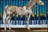 Horse Color:Gray White Spotted Chocolate Palomino Dun Sabino Rabicano 