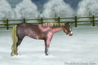 Horse Color:Painted White Spotted Liver Chestnut Sabino