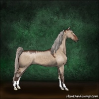 Horse Color:Silver Brown Dun 