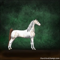 Horse Color:Brown Pearl Dun Tobiano Appaloosa