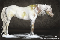 Horse Color:White Spotted Chocolate Silver Black Ice 