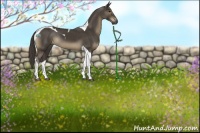 Horse Color:Smoky Black Tobiano 
