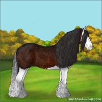 Horse Color:Brown Ice Splash