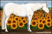 Horse Color:Perlino Dun Tobiano 