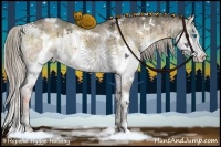Horse Color:White Spotted Chocolate Palomino Ice Onyx Splash