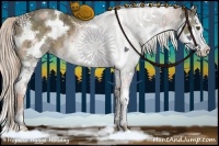 Horse Color:White Spotted Chocolate Palomino Ice Splash 