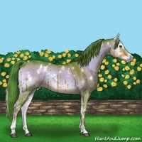 Horse Color:Watercolor White Spotted Liver Red Dun Onyx Sabino 