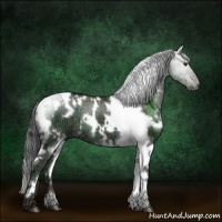 Horse Color:Plaid  White Spotted Liver Red Dun Ice 