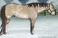 Horse Color:White Spotted Liver Red Dun 